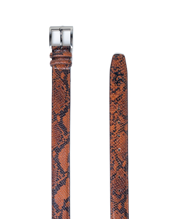 CINTO GINGA STUDIOS - Brown Cobra - Image 2