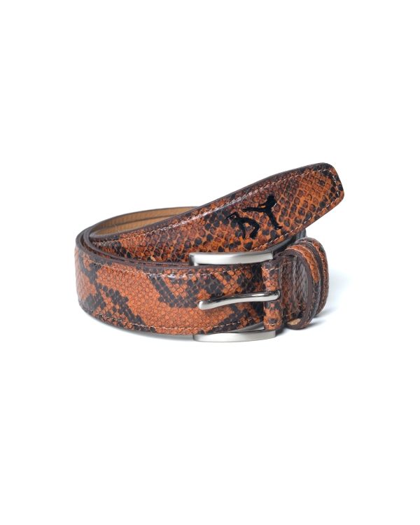 CINTO GINGA STUDIOS - Brown Cobra
