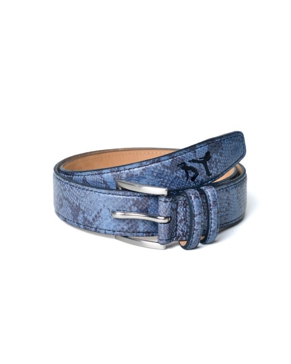 CINTO GINGA STUDIOS - Blue Cobra
