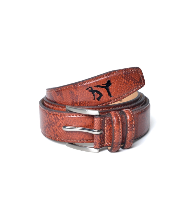 CINTO GINGA STUDIOS - Whiskey Cobra